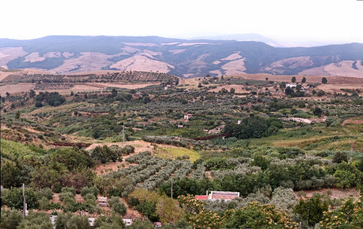 Irsina - Largo Dei Greci